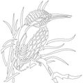 Contour bird Kingfisher sitting in the reeds anti-stress coloring drawn by various lines in a flat style. Sketch for tattoo