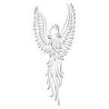 The contour of the bird - Phoenix drawn with different lines. The design is suitable for Firebird bird logo, tattoo Royalty Free Stock Photo