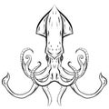 Contour black and white illustration of squid.