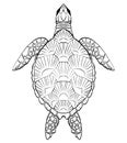 Contour black and white illustration of turtle. The object is separate from the background.