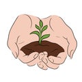 Contour color sketch of female hands holding a sprout with the ground. World Environment Day. Protection and preservation