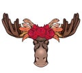 Contour colorful illustration of a moose head with antlers and rose wreath front view. Wild mammal. Vector color outline Royalty Free Stock Photo