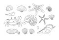 contour coloring book for children marine life, seashells crab pearl
