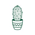 Contour dessert cactus with. Western plant in a pot