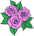 contour drawing of three pink roses with leaves without background