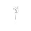 Contour engraving bud. Black and white line art decoration of cotton flower with leaves. Vector isolated clipart. Minimal