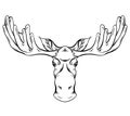 Contour engraving illustration of a moose head with antlers front view with hatching. Wild mammal. Vector outline silhouette