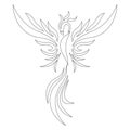 Contour of a Firebird anti-stress coloring drawn by various lines in a flat style. Sketch for tattoo, phoenix logo, emblem Royalty Free Stock Photo