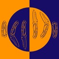 Contour folding pocket knife on blue and orange background