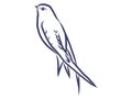 Contour hand drawing swallow - black and white vector for coloring book