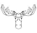 Contour illustration of a moose head with antlers front view. Wild mammal. Vector outline silhouette