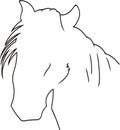Contour image of a beautiful horses muzzle