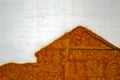 Contour image of a house on the wall