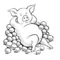 Contour Line Drawing. Coloring for kids. A series of postcards with a piggy. Proverbs and sayings. As a pig in oranges Royalty Free Stock Photo