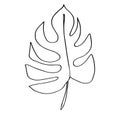 Contour line drawing leaf of monstera. Modern minimalism art, aesthetic cont