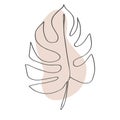 Contour line drawing leaf of monstera.  Modern minimalism art, aesthetic cont Royalty Free Stock Photo