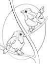 contour line illustration cartoon childish style cute little birds on tree branch summer printable design element coloring