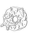 contour line illustration sketch food simple donut sea theme shell star design element for coloring book cover print stickers and Royalty Free Stock Photo