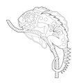 Contour linear illustration with animal for coloring book. Cute chameleon, anti stress picture. Line art design for adult or kids