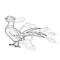 Contour linear illustration with bird for coloring book. Cute pheasant, anti stress picture. Line art design for adult or kids  in Royalty Free Stock Photo