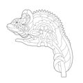 Contour linear illustration for coloring book with decorative chameleon. Beautiful reptile, anti stress picture. Line art design