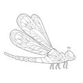 Contour linear illustration for coloring book with decorative cute dragonfly. Beautiful animal, anti stress picture. Line art