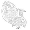 Contour linear illustration for coloring book with decorative peacock. Beautiful bird, anti stress picture. Line art design for