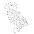 Contour linear illustration for coloring book with decorative pretty puffin. Beautiful cute bird, anti stress picture. Line art