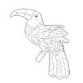 Contour linear illustration for coloring book with decorative pretty toucan. Beautiful cute bird, anti stress picture. Line art