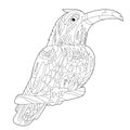 Contour linear illustration for coloring book with decorative toucan. Beautiful tropic bird, anti stress picture. Line art design