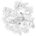 Contour linear illustration for coloring book with paradise bird in flowers. Tropic peacock, anti stress picture. Line art design