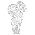 Contour linear illustration for coloring book with pretty cute bighorn. Beautiful animal, anti stress picture. Line art design