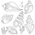 Contour linear illustration with shell set. Cute shells, anti stress picture. Line art design for adult or kids in zentangle
