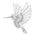 Contour mechanical hummingbird on white background Royalty Free Stock Photo