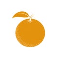 Contour orange on a white background. Fruit.