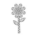 Contour ornate flower simple style vector illustration. Linear geomentric daisy isolated on white background