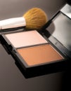 Contour palette with face brush Royalty Free Stock Photo