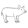 Contour pig in doodle style Royalty Free Stock Photo