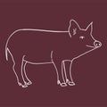 Contour pig in doodle style Royalty Free Stock Photo