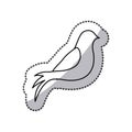 contour pigeons icon image