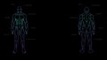 Contour shape human body anatomy neon hologram projected at black background , sci fi interface design element , illustrati