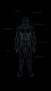 Contour shape human body anatomy neon hologram projected at black background , sci fi interface design element , illustrati