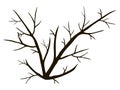 Contour simple black branches branchy tree isolated on white background drawing object vector
