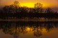 The contour of the trees on the river