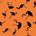 Contour tropical birds seamless orange background