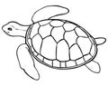 Contour turtle - coloring page for kids