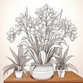 Contoured Shading Orchid Flower In Vase Illustration For Flower Garden Royalty Free Stock Photo