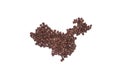 The contours of China lined with coffee beans on a white isolated background