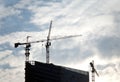 Contours of tower cranes above office building Royalty Free Stock Photo