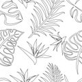 Contours of tropical leaves of monstera, fern and Strelitzia flowers seamless pattern on a white background. Design for textile Royalty Free Stock Photo